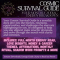 Cosmic Survival Guide - Aries AF